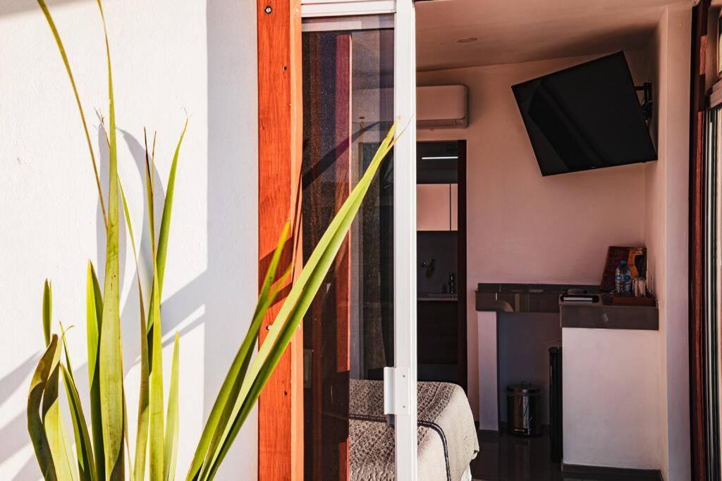 Cabana El Alamo Con Jacuzzi Villa Valle de Guadalupe Esterno foto
